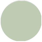 Grossiste Robes demoiselle d'honneur Vert Sauge
